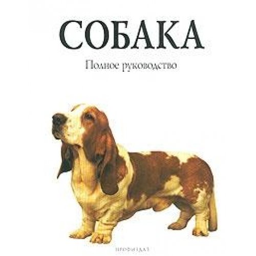 Complete Guide to Dogs