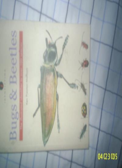 Identifying Bugs and Beetles