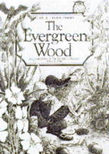 The Evergreen Wood