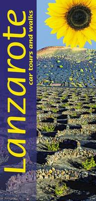 Lanzarote Sunflower Guide