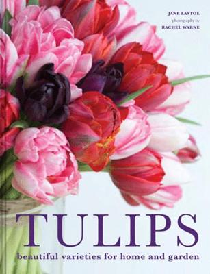 Tulips: A Guide to Cultivation