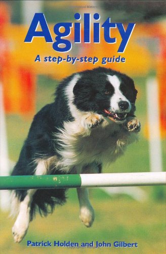Agility: A Step-by-step Guide