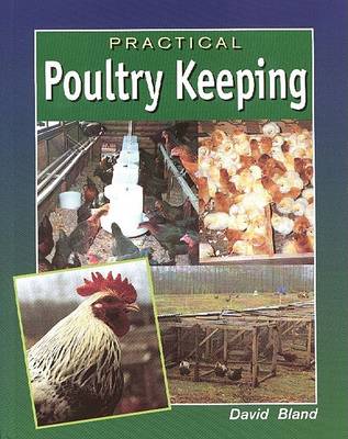 Practical Poultry Keeping
