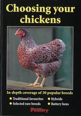 Choosing Your Chickens