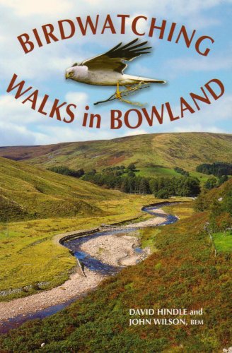 Birdwatching Walks in Bowland