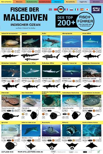 Malediven Fisch-Feldführer: Der Top 200+ (German)