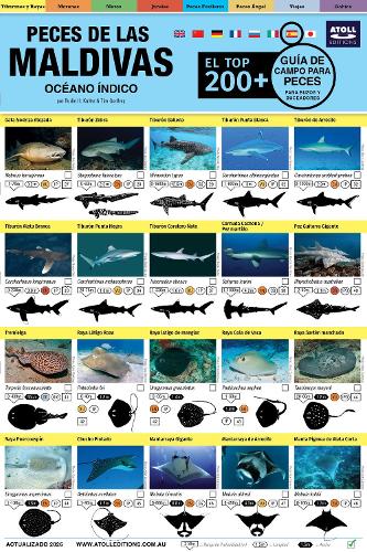 Maldivas Guia De Campo Para Peces: El Top 200+ (Spanish)