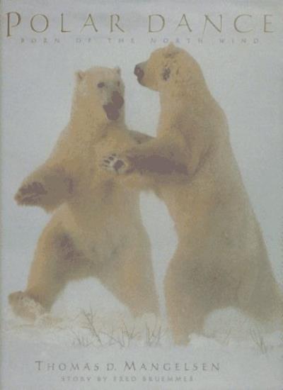 Polar Dance: Born of the North Wind