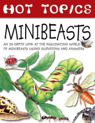 Minibeasts (Hot Topics)