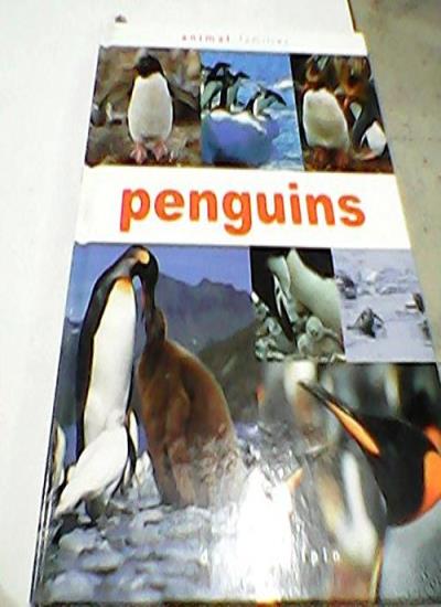 penquins (animal families)