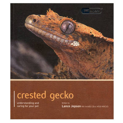 Crested Gecko - Pet Expert