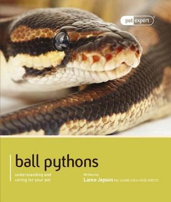 Ball Python (Royal Python)