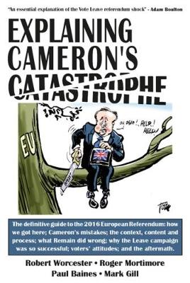 Explaining Cameron's Catastrophe (The 'Explaining' Series)