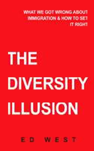 The Diversity Illusion