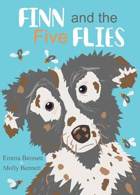Finn and the Five Flies
