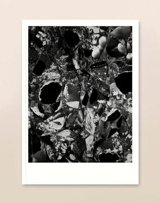 The White Review No.28