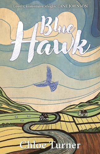 Blue Hawk
