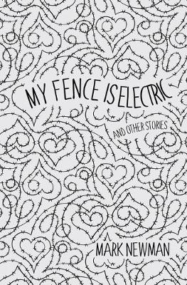 My Fence is Electric