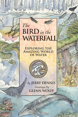 The Bird in the Waterfall
