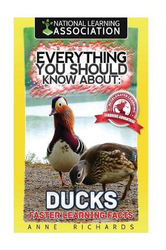 Everything You Should Know About