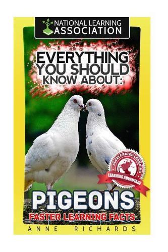 Everything You Should Know About