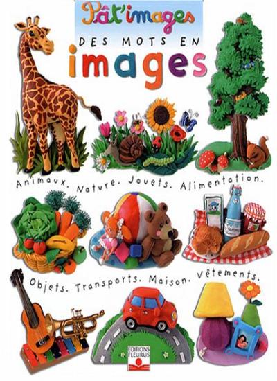MOTS EN IMAGES (DES)