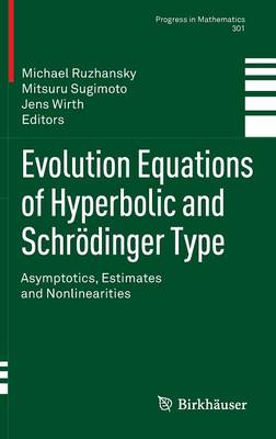 Evolution Equations of Hyperbolic and Schrödinger Type