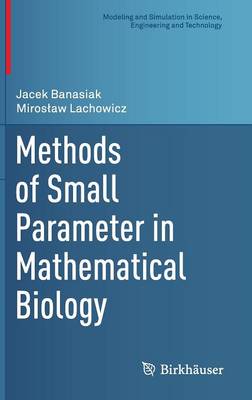 Methods of Small Parameter in Mathematical Biology