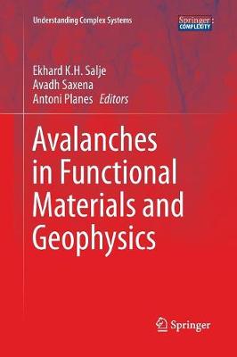 Avalanches in Functional Materials and Geophysics