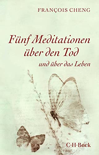 Fünf Meditationen über den Tod: und über das Leben