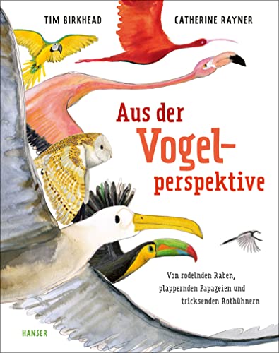 Aus der Vogelperspektive: Von rodelnden Raben, plappernden Papageien und tricksenden Rothühnern