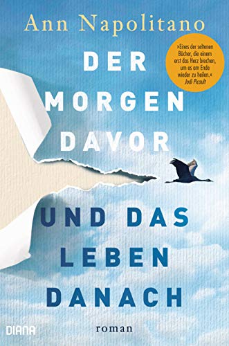 Der Morgen davor und das Leben danach: Roman