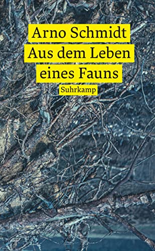 Aus dem Leben eines Fauns: Roman