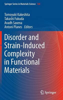 Disorder and Strain-Induced Complexity in Functional Materials