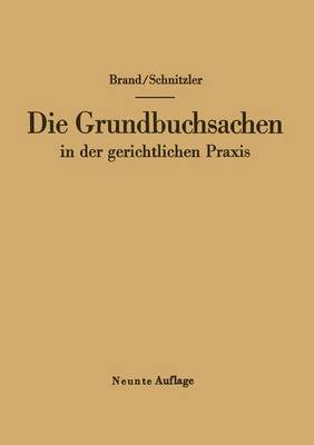 Die Grundbuchsachen in der gerichtlichen Praxis
