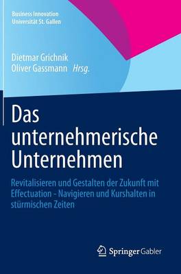 Das unternehmerische Unternehmen