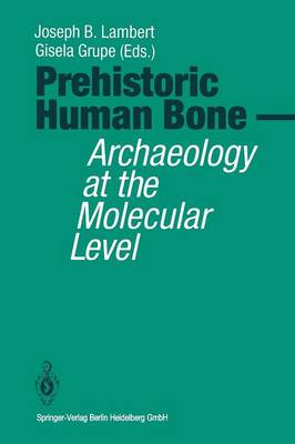 Prehistoric Human Bone