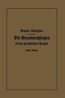 Die Grundbuchsachen in der gerichtlichen Praxis