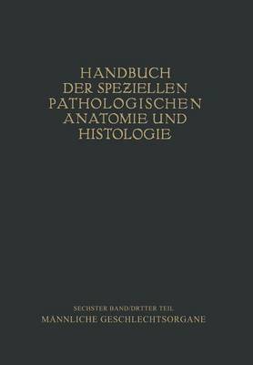 Harnorgane Männliche Geschlechtsorgane