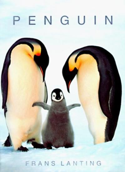 Penguins: FO (Photobook S.)