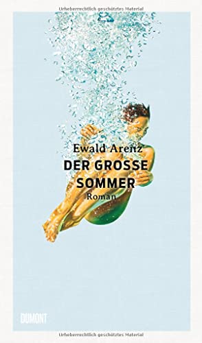 Der große Sommer: Roman