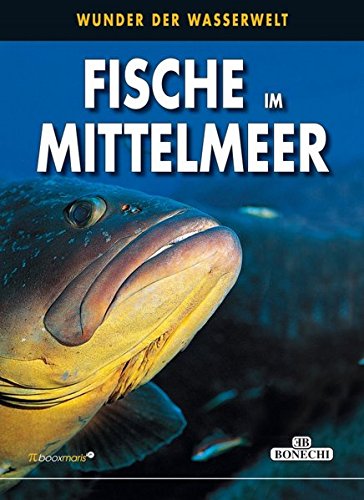 Fische im Mittelmeer: Wunder der Unterwasserwelt