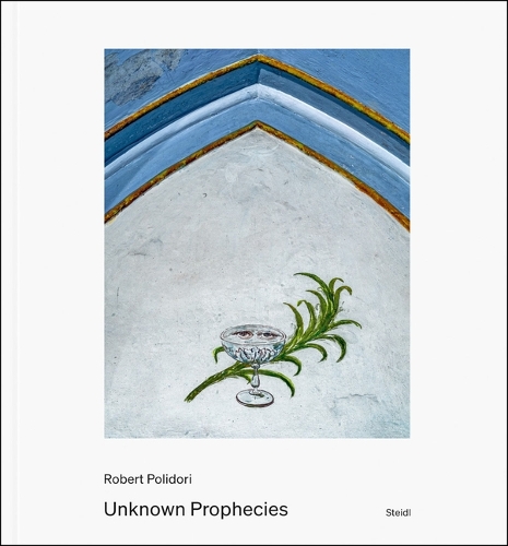 Robert Polidori Unknown Prophecies /anglais