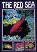 The Red Sea