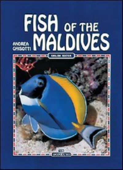 Fish of the Maldives