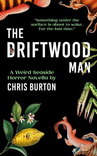 The Driftwood Man