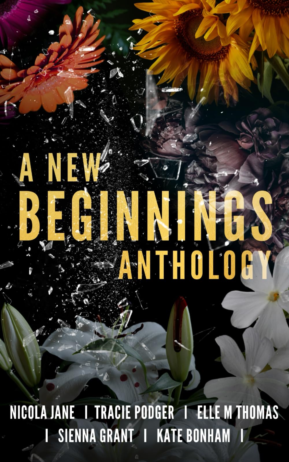 A New Beginnings Anthology