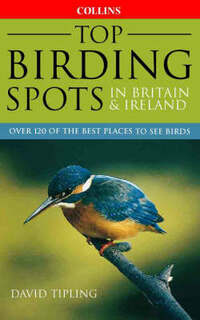 Top British Birding Spots