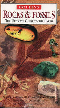 Ultimate Guides – Rocks and Fossils: The Ultimate Guide to the Earth (Nature Company Guides)