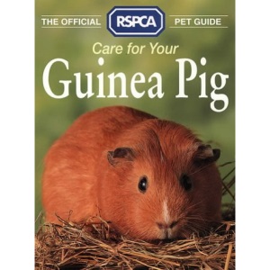 The Official RSPCA Pet Guide – Care for your Guinea Pig